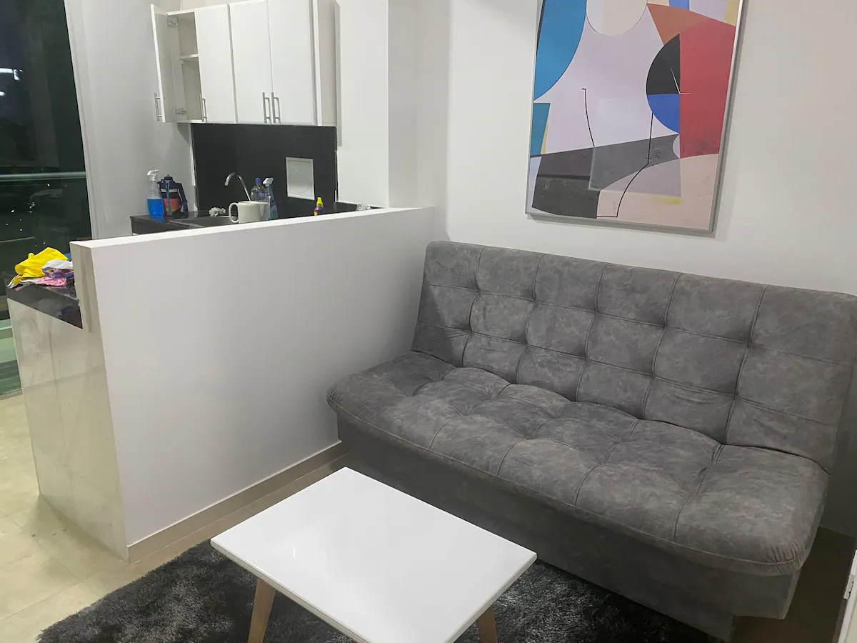 1 Bedroom apartment — living room